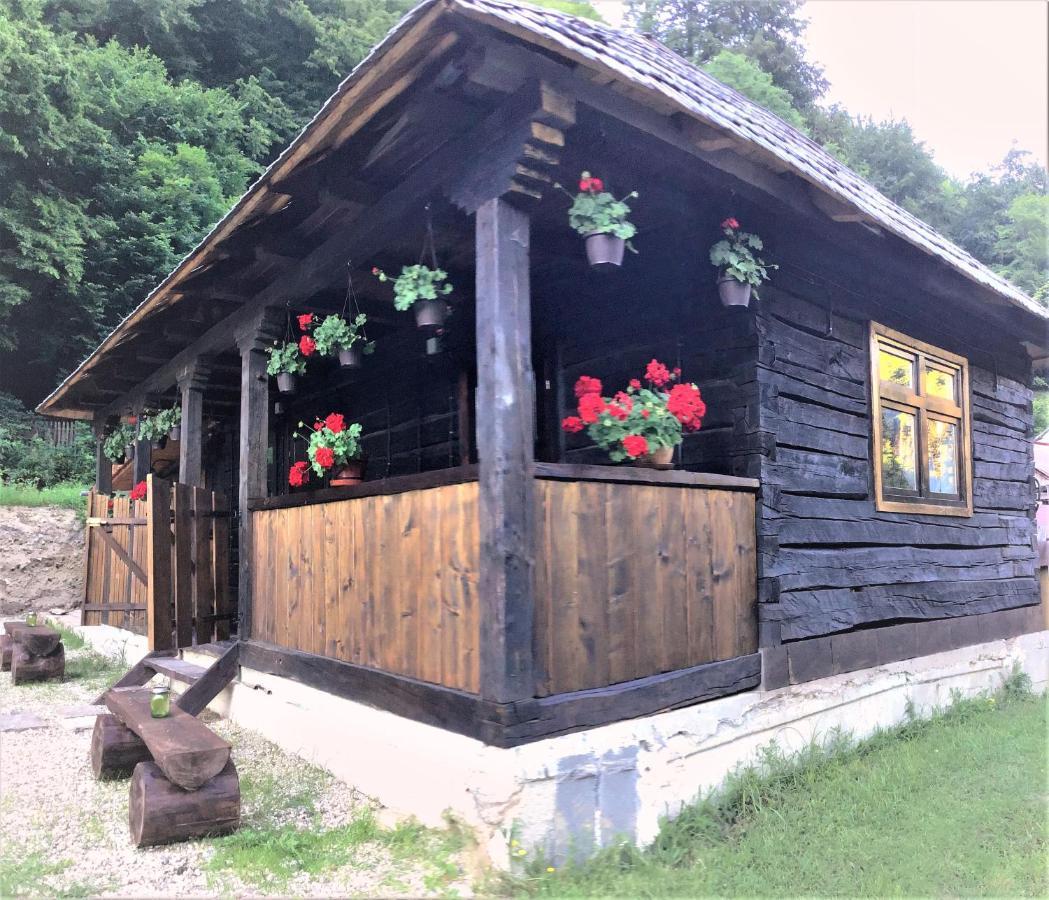 Casuta Din Valea Regilor Βίλα Gradistea de Munte Εξωτερικό φωτογραφία