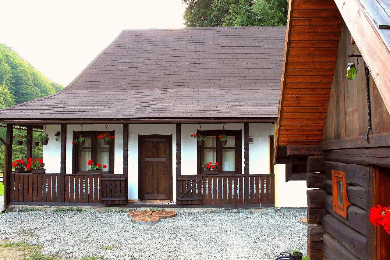 Casuta Din Valea Regilor Βίλα Gradistea de Munte Εξωτερικό φωτογραφία