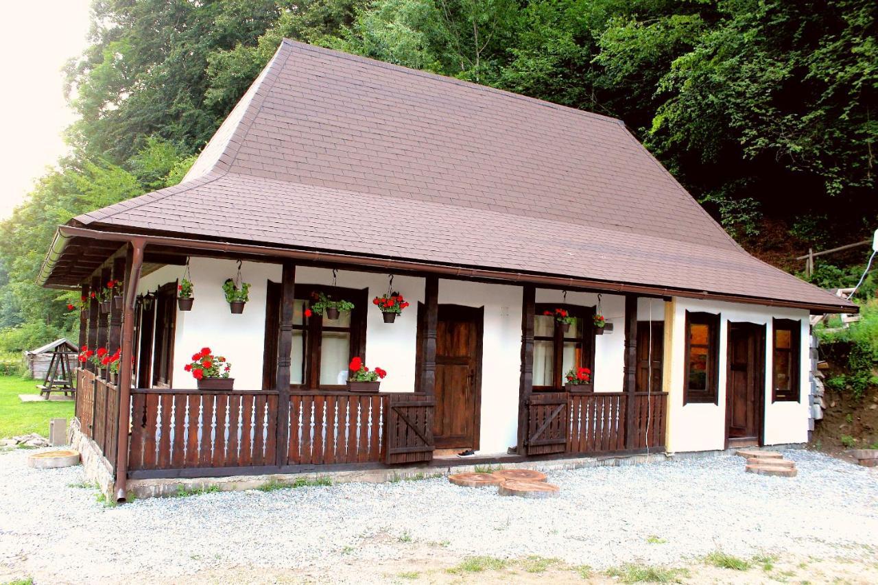 Casuta Din Valea Regilor Βίλα Gradistea de Munte Εξωτερικό φωτογραφία
