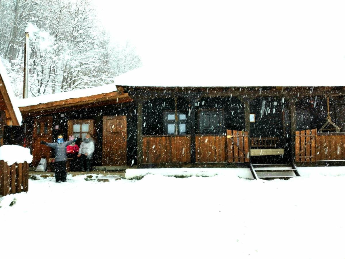 Casuta Din Valea Regilor Βίλα Gradistea de Munte Εξωτερικό φωτογραφία